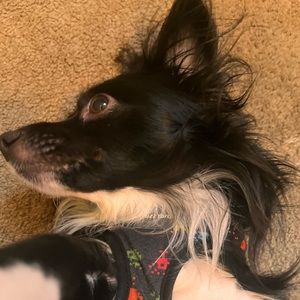 Meet your Posher, Eduardo